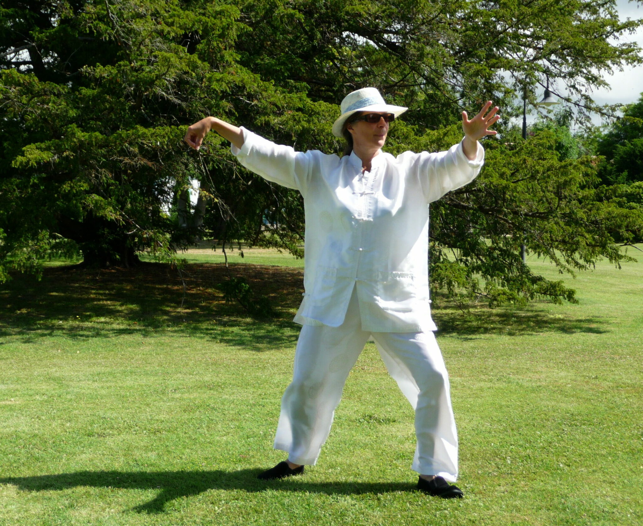 Le Dat Chi Le Taï Chi, c’est quoi ? – Amis du taichi